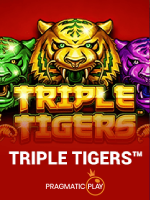 Cara Bermain Triple Tigers dengan Benar di Android
